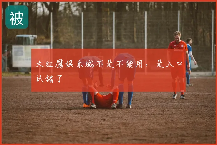 大红鹰娱乐城不是不能用，是入口认错了
