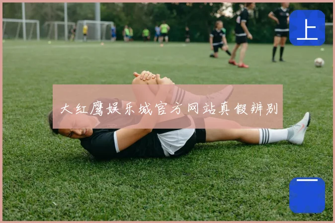 大红鹰娱乐城官方网站真假辨别